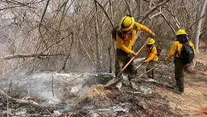 Avance en la atención de incendio forestal de Todos Santos y Las Pozas en Santa María Huatulco