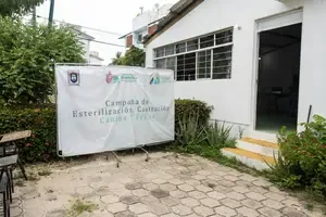 Campaña de esterilización y castración en Infonavit 