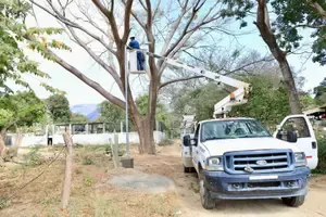  Avanza el fortalecimiento de luminarias en Santa María Huatulco