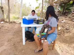 Jornada de Vacunación Antirrábica fortalece la salud en Llano Ciruelos