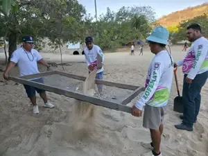 Continúan las jornadas de limpieza en playa