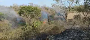 Atienden con inmediatez incendio forestal para salvaguardar la seguridad de la ciudadanía 