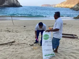 Limpieza en Playa Violín