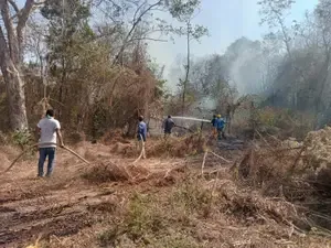 Protección Civil y Bomberos atienden incendio en la zona del Puente de Xúchitl