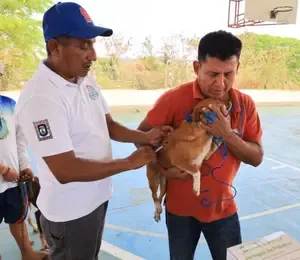  Continúa la Jornada de Vacunación Antirrábica en el municipio