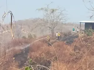 Protección Civil atiende incendio en el crucero rumbo a San Agustín