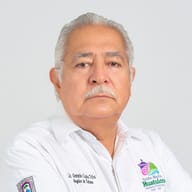Lic. Gerardo Copka Téllez